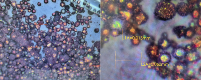 Microscope photo of molybdenum copper powder